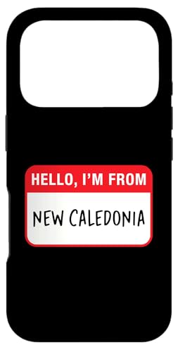 ����ɂ��́A���̓j���[�J���h�j�A�o�g�ł��B �X�}�z�P�[�X iPhone 17 Pro �p