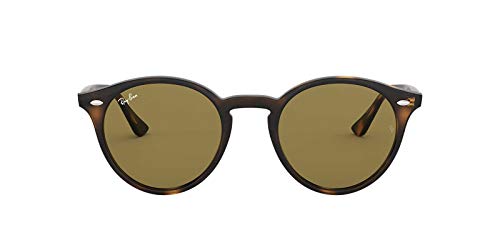 Ray-Ban Round Sunglasses2