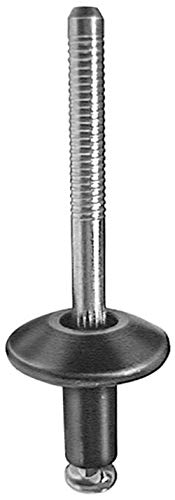 10 Lock Actuator Peel-Type Rivet Compatible with Ford Door N808689-S417