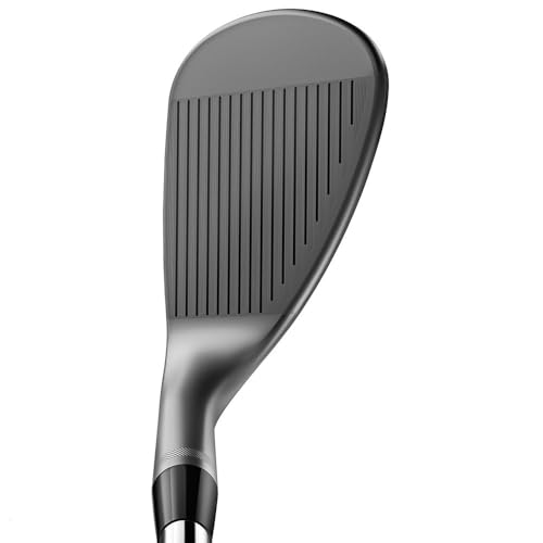 Titleist Wedge Vokey SM10ニッケルDG S200 5414F 4枚目
