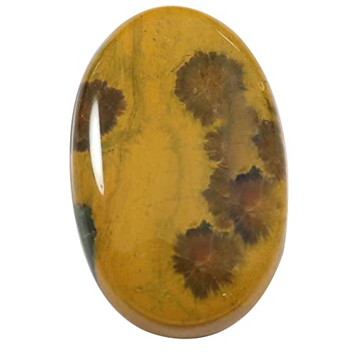 Cabochon en Jaspe Océan Goyal Exports Qp93 de 16,75 carats pour création de bijoux