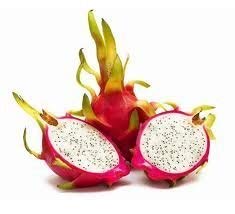 Dragon Fruit Organic, 1 Each
