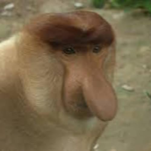 Episode #138 - There's always a sniff