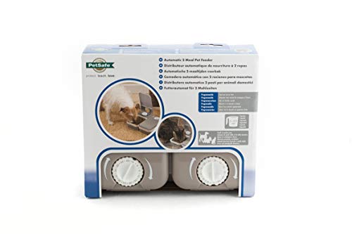 2 meal automatic pet feeder
