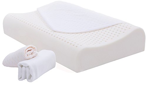 Best Rated Latex Foam Pillows Reviews Updated For 2019