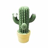 Suitable for bedroom, home display, gift and other romantic places.