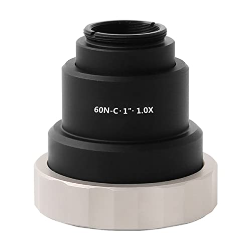 {pANZT[ JA_v^C}Egp0.5{0.63{0.8×1.2{(1X)