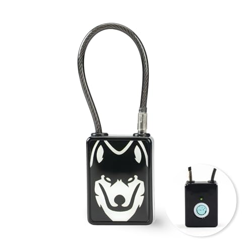 LEELEN Fingerprint Padlock, Smart Biometric Lock Keyless USB Rechargeable Thumbprint Lock for Backpacks, Luggage, Handbags, Cabinets, Lockers, Gift, Gyms and Bedrooms (Black)