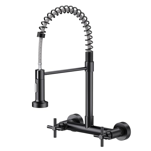 Hurran Matte Black Wall Mount Faucet