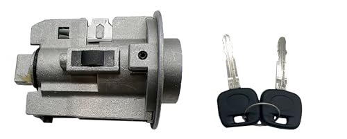 Golden Selection Ignition Lock Cylinder Tumbler with 2 Keys Compatible