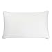 Simmons Beautyrest Beautyrest Latex Foam Pillow with Cover (Queen 2 Pack)