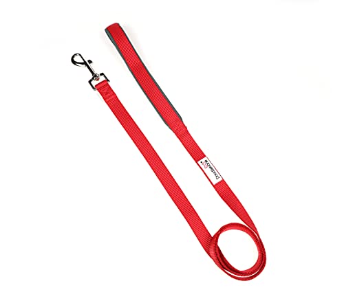 Doodlebone, Padded Dog Lead, Comfortable Dog Leash with Soft Neoprene Padded Handle, Strong Clip, 120cm Length - Image 2