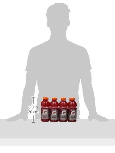 Gatorade Thirst Quencher, Fruit Punch, 20 Ounce (Pack of 8)
