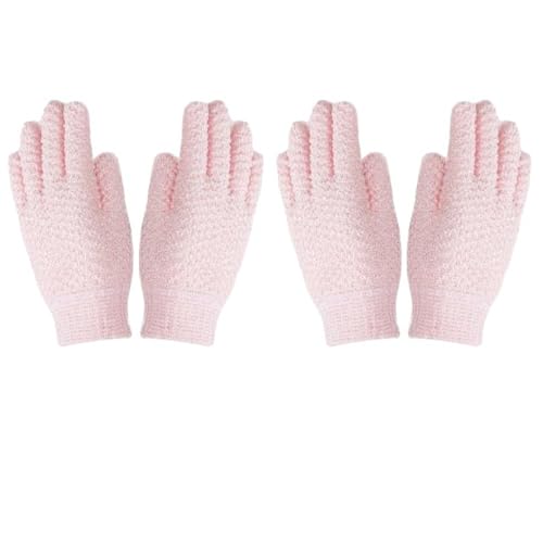 p C 2_Zbg A Cp ̐ V[oXO[u iC C ܖ{w ӂ̐  pi p RۉH (sN*2_)