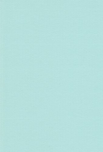 エスケント 色画用紙 ミューズコットン 厚口 八切 うすみず 100枚 41080013