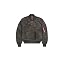 Grau (Rep.grey 04)