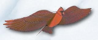 Jackite Assembled Cardinal Bird Kite, Wind Sock