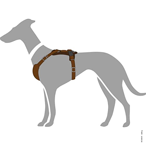 HUNTER AALBORG Hundegeschirr, Leder, S-M/1, dunkelbraun