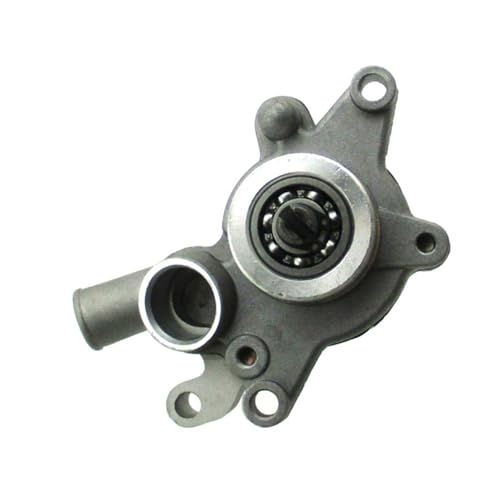 Moteur 260cc refroidissement eau scooter VOG260 Linhai Style 250cc pièce rechange
