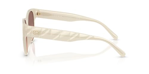Coach Women's Hc8430d Round Sunglasses3