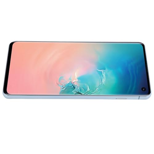 Écran pour S10 avec châssis bleu et outils de réparation pour modèles G9730 G973U