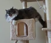 Review Image by Julian Goolian Julian Goolian