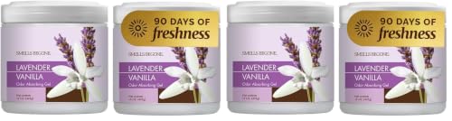 Image of SMELLS BEGONE 15oz Gel Odor Eliminator - Absorb & Remove Tough Odors in Pet Areas, Bathrooms, Basements, Garage, Cars, RVs & Boats - Eliminate Odors Quickly (4-Pack, Lavender Vanilla)
