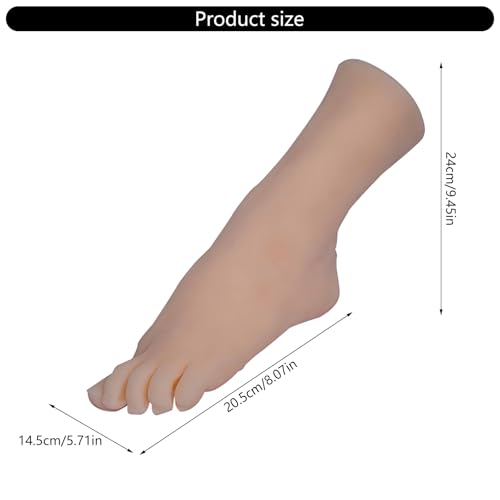 Modèle d'exposition de pied de qualité artistique pour vitrine - 6