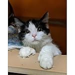 Review Image by Ohio Dude Dale Ohio Dude Dale