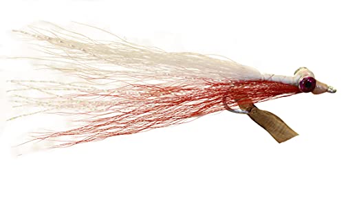 Clouser Minnow Lot de 6 hameçons Duratin anti-corrosion pour une pêche sans accroc