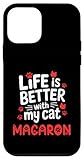 Macaron Cat Name GIfts