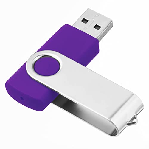 Image of 1GB USB Flash Drive 1PCS, EASTBULL USB 2.0 Thumb Drive Swivel USB Stick Memory Stick Metal Thumb Drives (Purple)