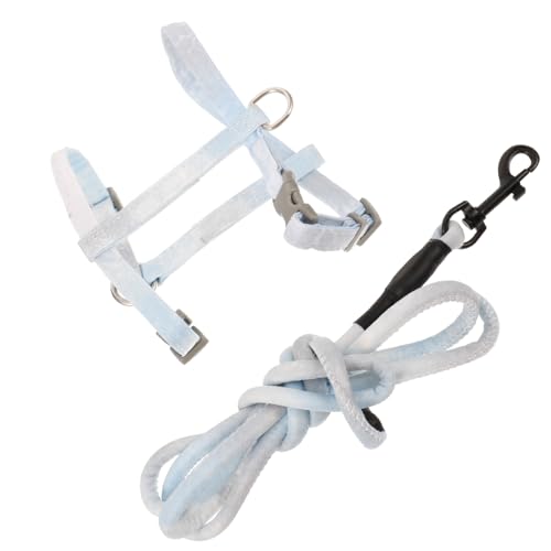 BUGUUYO L̎ LA nX^[XN[p[ qLxXg L̂ bg ʂ qL̂ tB[_ ̌xx Lbg L ybg |GXe Blue