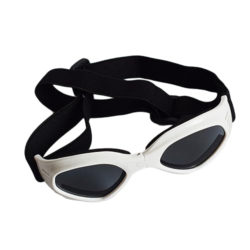 EXAOMBLE ybgpOpTOX LS[O ی y ߉\Xgbvt zCg