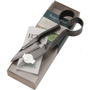 Burgon & Ball Children's Gardening Tool Set with Watering Can - RHS ...