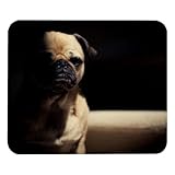 carlino maschio cucciolo Design personalizzabile: aggiungi un tocco personale al tuo spazio di lavoro con stampe personalizzabili ad alta definizione. Rendi il tuo tappetino per mouse davvero tuo!