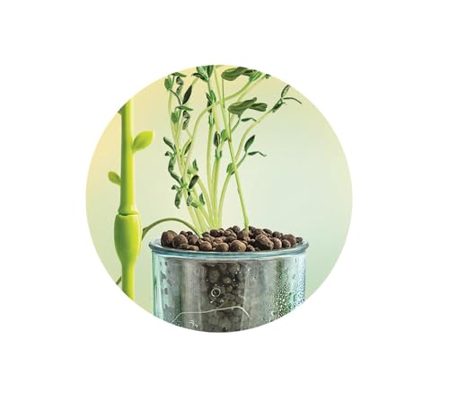 Clementoni | Science & Jeu : Mini Serre – Kit Botanique Enfant + | Serre à Assembler avec Pots Tourbe Graine | Jeu Éducatif Scientifique pour Découvrir la Botanique | Ideé Cadeau - vue 7