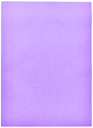 Papel Cartão Fosco x 20 Unidades, V.M.P. 202.42.21, Lilás, 48 x 66 cm
