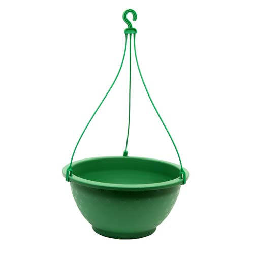 Avito Plastic Hanging Flower pots for Garden 10 inch Tera COTA & Olive