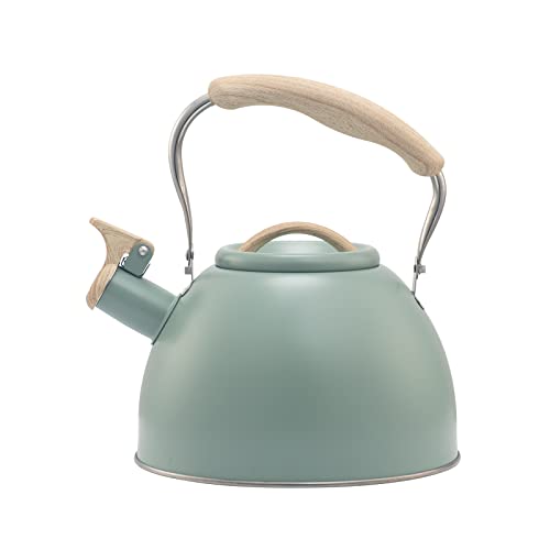 Top 10 Teapot For Green Tea of 2022 Katynel