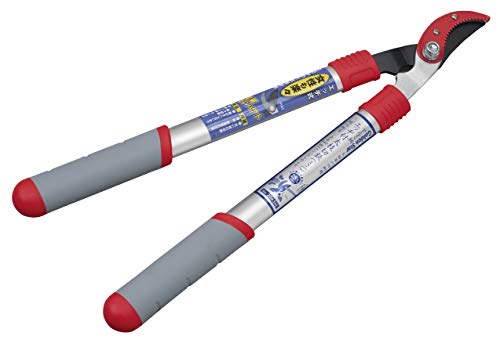 L{V(Kinboshi) V^A~GbWt}(~j)2043M