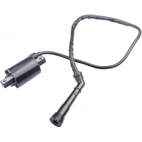 Bobine d'allumage pour moto Virago XV535 de 1987 à 2000 référence 2GV-82310-21-00
