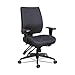 Alera ALEHPM4201 Wrigley Series 275 lbs. Capacity High Performance Mid-Back Multifunction Task Office Chair - Black