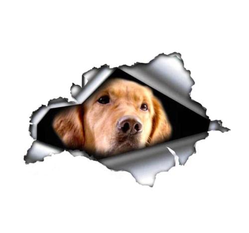 MDGCYDR Adesivi Auto 25Cm(9.8Inches) Adesivo per