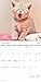 2026 Cuddly Kittens Wall Calendar