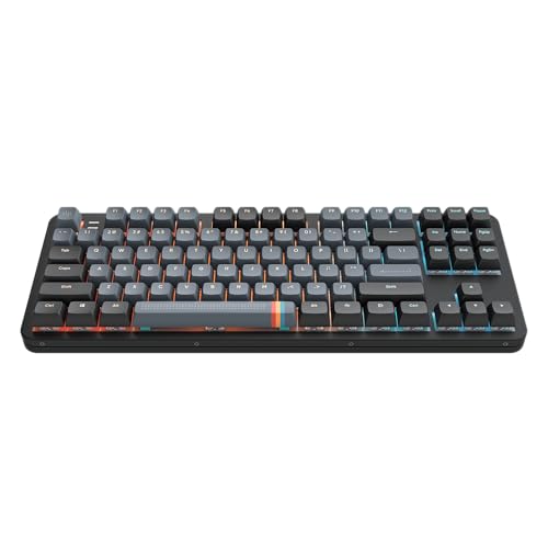 Dark Project ALU87A MIDNIGHT Clavier de jeu mécanique | ANSI ENG | Hot-Swap | Commutateurs graissés à vitesse zircon G3MS | Stabilisateurs graissés | Support de joint flexible | Aluminium | TKL 80% |