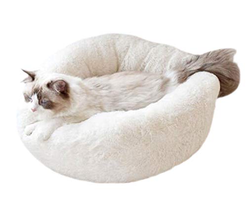 Maiitmor _炩 ybgp xbh NbV L ۂ^ \t@n  Q ӂӂ ۉ h VK[h[ic tH~ p ybgxe (L(60*60*22CM), zCg)