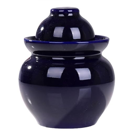 DECORN Olla de fermentación de 5 litros / 1.3 galones con Tapa. Olla de cerámica esmaltada para fermentar Kimchi, encurtidos, Verduras y Kombucha,C