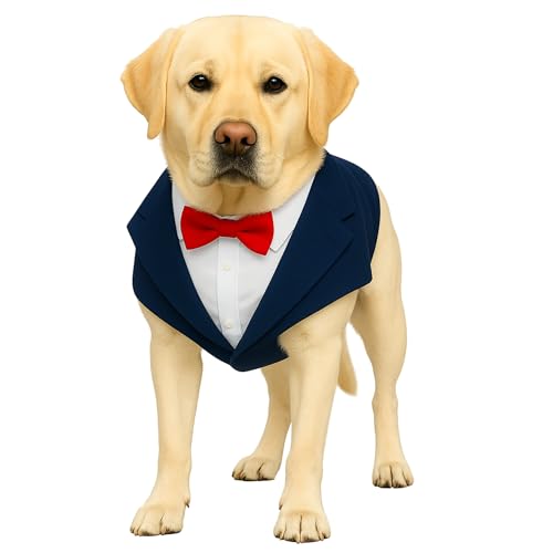 Image of Buraq Premium Dog Wedding Suit, Elegant Tuxedo with Bow Tie & Bandana, Comfortable, Washable Outfit for Dogs (XL - Blue)