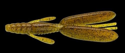 m[Y [ F-GXP[vtbOcC 352 ubVpCN[